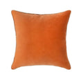 45x45cm Decorative Throw Pillow Cover Cushion Cases Soft Velvet Modern Double Sided Designs For Home Decor Modern Minimalism